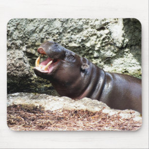 Alfombrilla De Ratón Hippo
