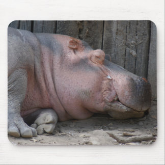 Alfombrilla De Ratón hippo2-4