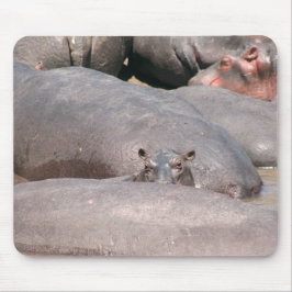 Alfombrilla De Ratón Hippo te mira