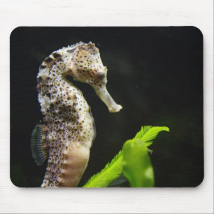 Alfombrilla De Ratón Hippocampus