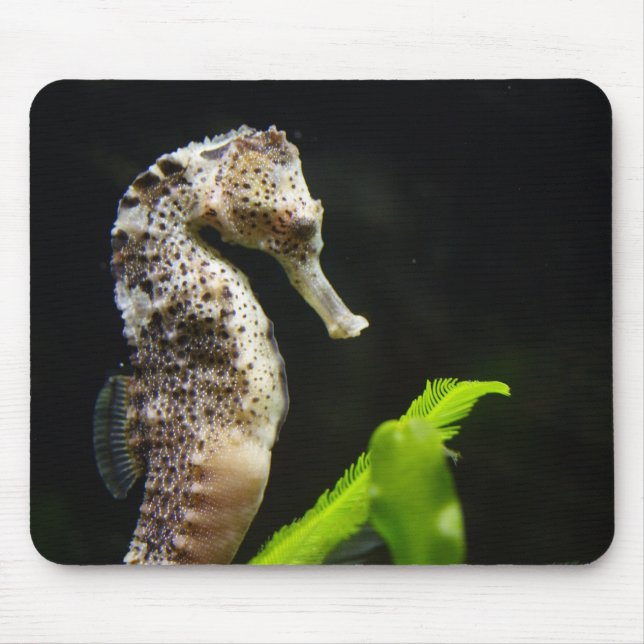 Alfombrilla De Ratón Hippocampus (Frente)