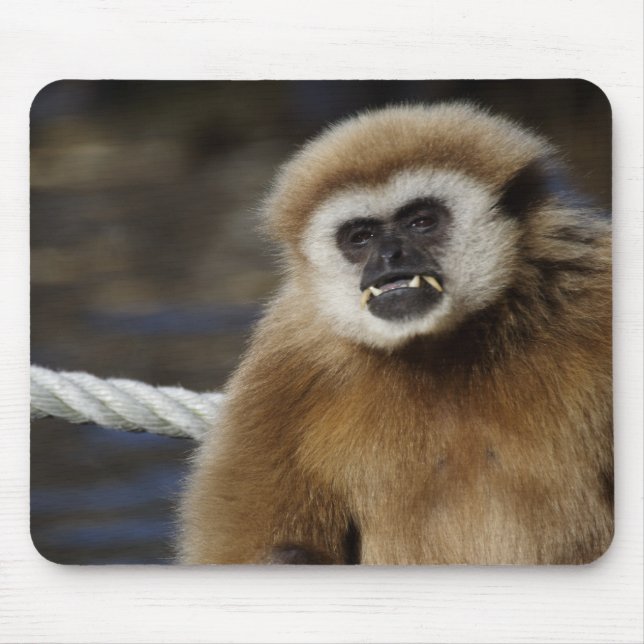 Alfombrilla De Ratón Hlobates lar (Frente)