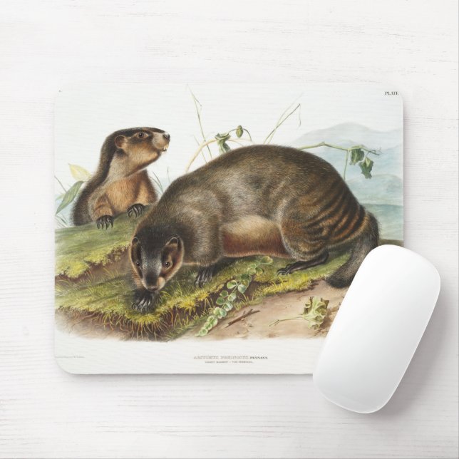 Alfombrilla De Ratón Hoary Marmot Camping Deco Gifts (Con ratón)