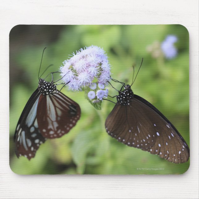Alfombrilla De Ratón Hodokubo, Hino, Tokio, Japón 3 (Frente)