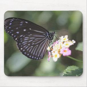 Alfombrilla De Ratón Hodokubo, Hino, Tokio, Japón 5