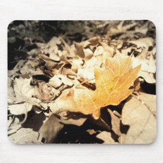 Alfombrilla De Ratón Hoja del otoño