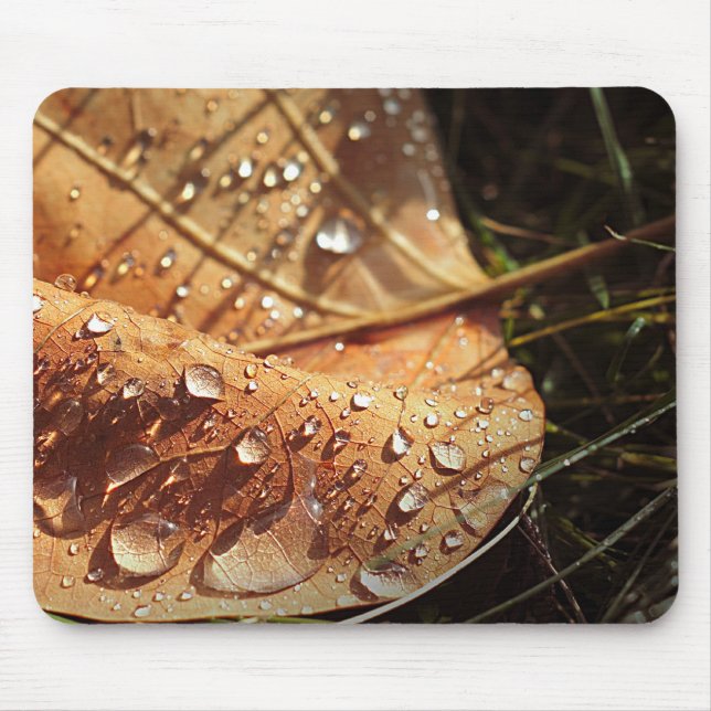 Alfombrilla De Ratón Hoja Otoño Húmeda - Mousepad (Frente)