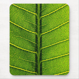 Alfombrilla De Ratón Hoja verde