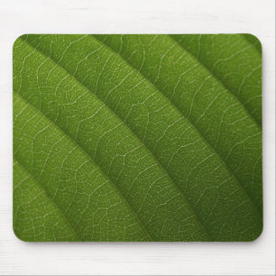 Alfombrilla De Ratón Hoja verde