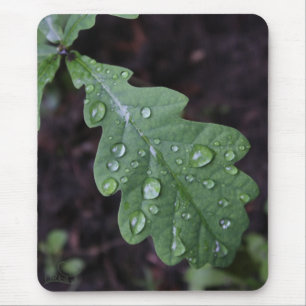 Alfombrilla De Ratón Hoja verde del roble en lluvia