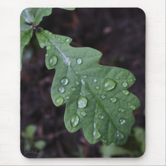 Alfombrilla De Ratón Hoja verde del roble en lluvia