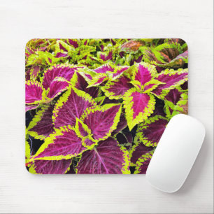Alfombrilla De Ratón Hojas Coloridas de Coleus