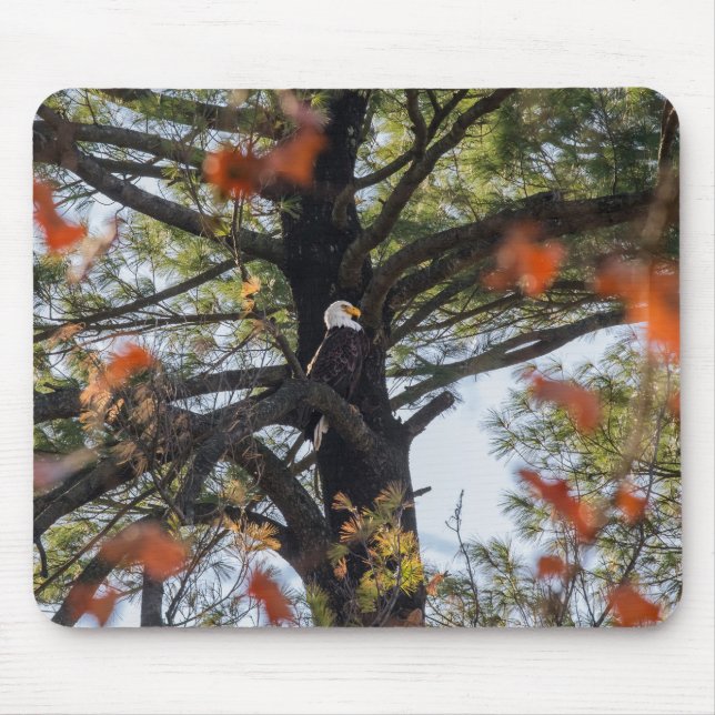 Alfombrilla De Ratón Hojas de águila y caída (Frente)