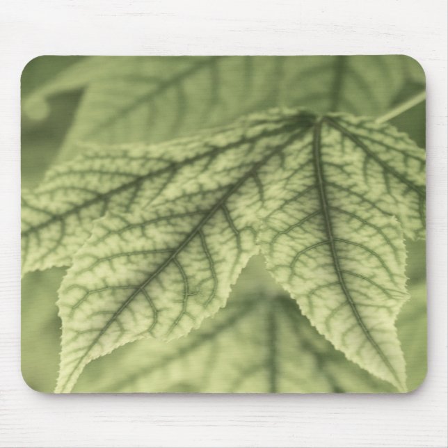 Alfombrilla De Ratón Hojas de arce (Frente)