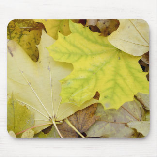 Alfombrilla De Ratón Hojas de otoño