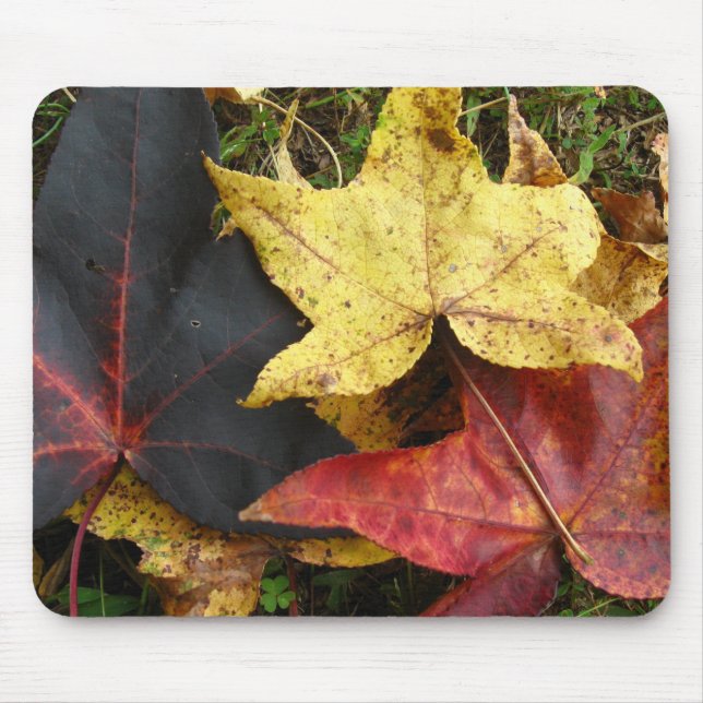 Alfombrilla De Ratón Hojas de otoño (Frente)