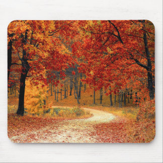 Alfombrilla De Ratón Hojas del sendero del otoño