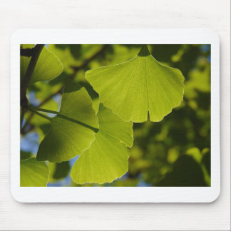 Alfombrilla De Ratón Hojas Sunlit del Ginkgo