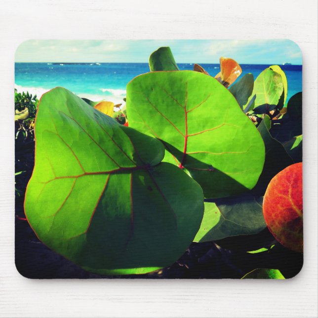 Alfombrilla De Ratón Hojas tropicales redondas (Frente)
