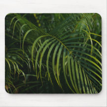 Hojas verde oscuro, naturaleza simple