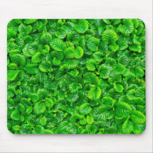 Alfombrilla De Ratón Hojas Verdes Lujuriosas