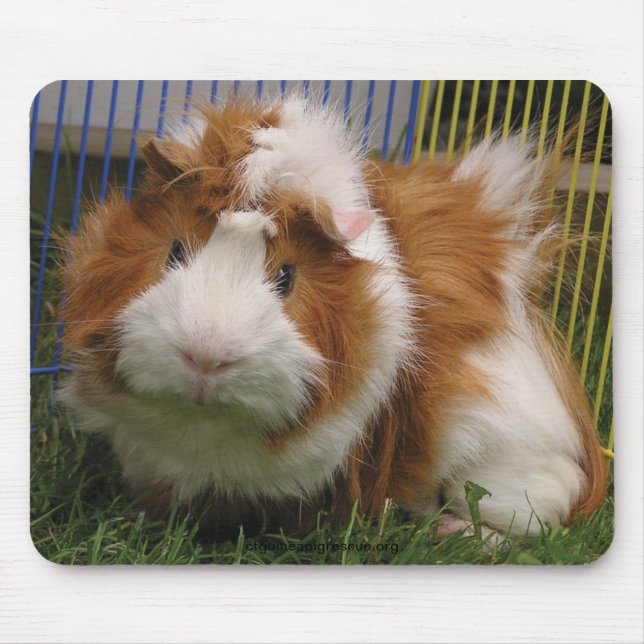 Alfombrilla De Ratón ¡Hola allí! (el Mousepad) (Frente)