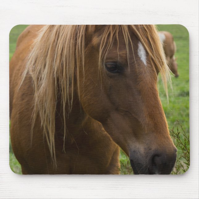Alfombrilla De Ratón Hola de caballo (Frente)