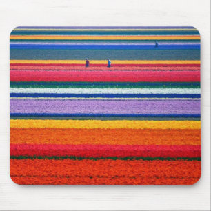 Alfombrilla De Ratón Holanda, campos del tulipán