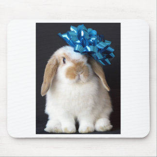 Alfombrilla De Ratón Holanda Lop Mousepad