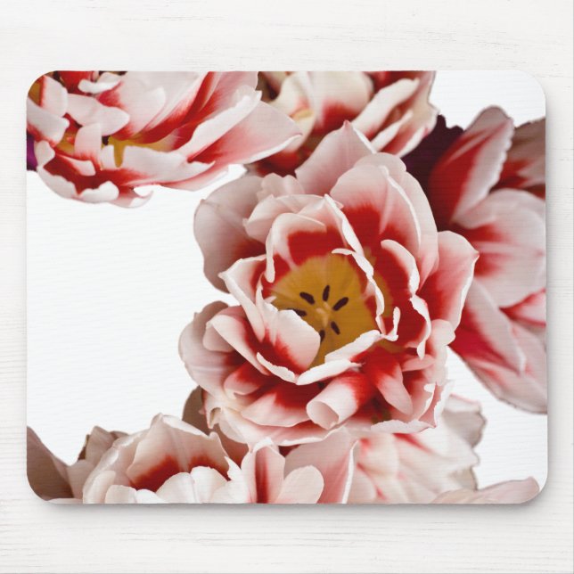 Alfombrilla De Ratón Holandés-Amos (Frente)