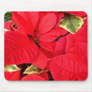 Alfombrilla De Ratón Holly Point Poinsettias Holiday Floral