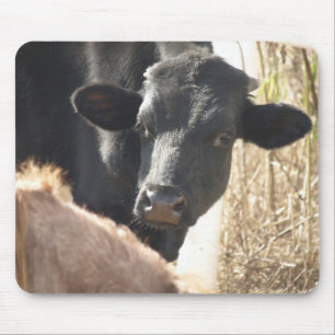 Alfombrilla De Ratón Holstein Bull Mousepad