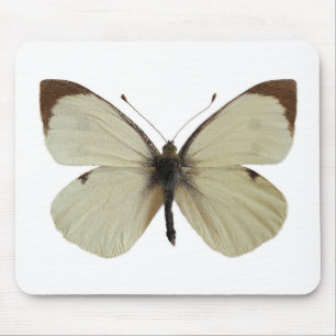 Alfombrilla De Ratón Hombre aislado Gran mariposa blanca