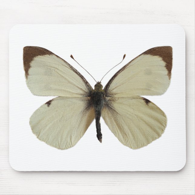 Alfombrilla De Ratón Hombre aislado Gran mariposa blanca (Frente)