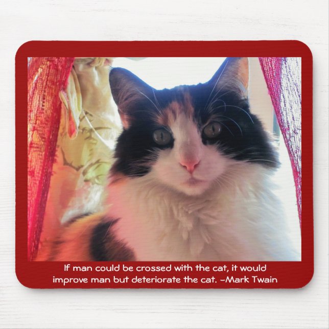 Alfombrilla De Ratón ¿Hombre cruzado con calico? (Frente)