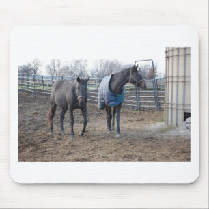 Alfombrilla De Ratón Hombres de Caballo de Granja Barn