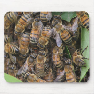 Alfombrilla De Ratón Honeybee Swarm