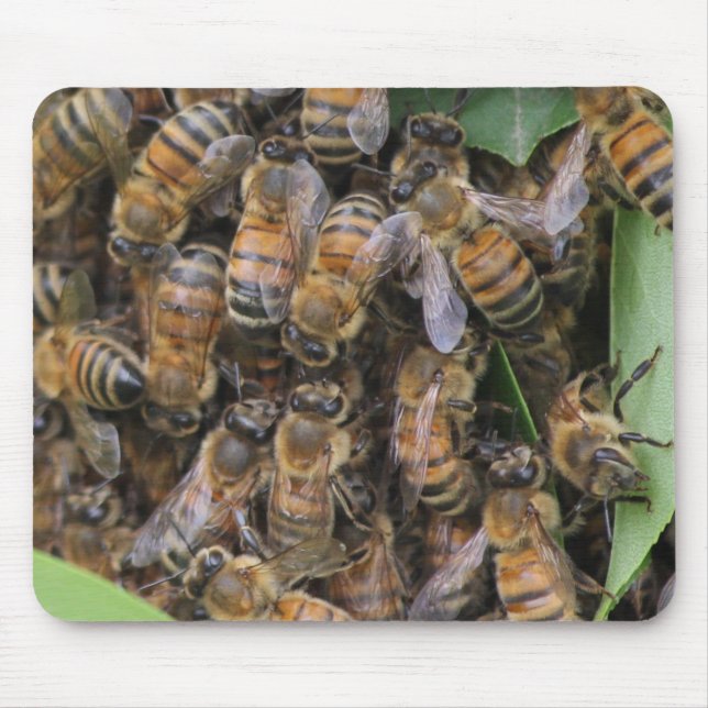 Alfombrilla De Ratón Honeybee Swarm (Frente)