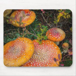 Alfombrilla De Ratón Hongos amanita muscaria en el lago Mowich