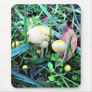 Alfombrilla De Ratón Hongos Amarillos Cutos, Oregón