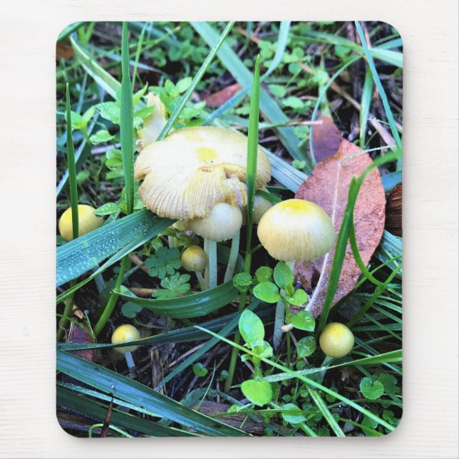 Alfombrilla De Ratón Hongos Amarillos Cutos, Oregón (Frente)