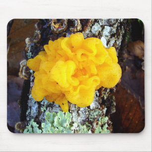 Alfombrilla De Ratón Hongos Tremella Mesenterica Mouse Mat