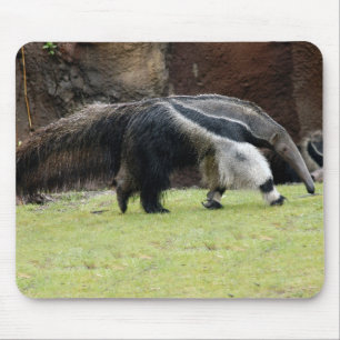 Alfombrilla De Ratón Hormiga gigante Eater8x10