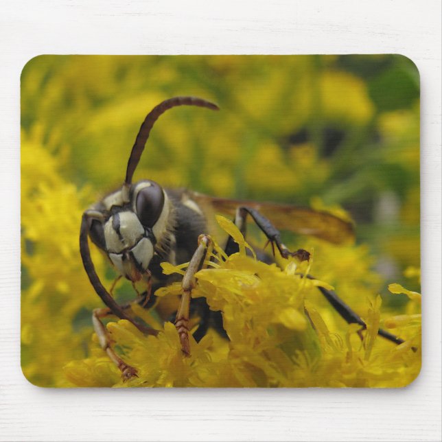 Alfombrilla De Ratón Hornet de cara calva (Frente)