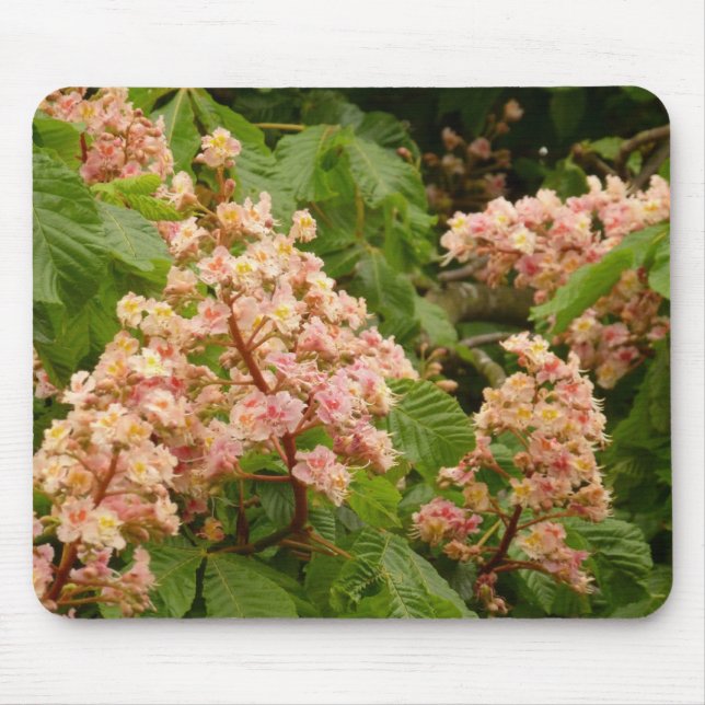 Alfombrilla De Ratón Horse Chestnut Blossom Mousepad (Frente)