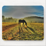 Alfombrilla De Ratón Horse de moda al amanecer en una foto de campo oxi<br><div class="desc">Sobre "Alegre": Tres oseznos polares disfrutan de un día mágico en juego. Una gran escena para el Día de la Tierra y otras reuniones sobre el medio ambiente. Bello para niños y adultos por igual. Disponible en una variedad de otros artículos de regalo en esta tienda de Zazzle. Pintura de...</div>