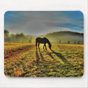 Alfombrilla De Ratón Horse de moda al amanecer en una foto de campo oxi