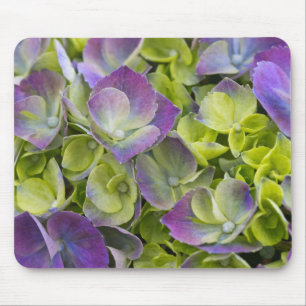 Alfombrilla De Ratón Hortensia del Jardín Keukenhof
