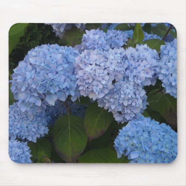 Alfombrilla De Ratón Hortensias Elegantes (Frente)