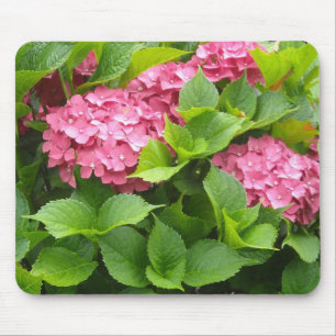 Alfombrilla De Ratón Hortensias Rosa Profundo